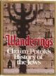 100146 Wanderings: Chaim Potok's History of the Jews 1st edition
